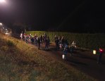 lampiony 8
